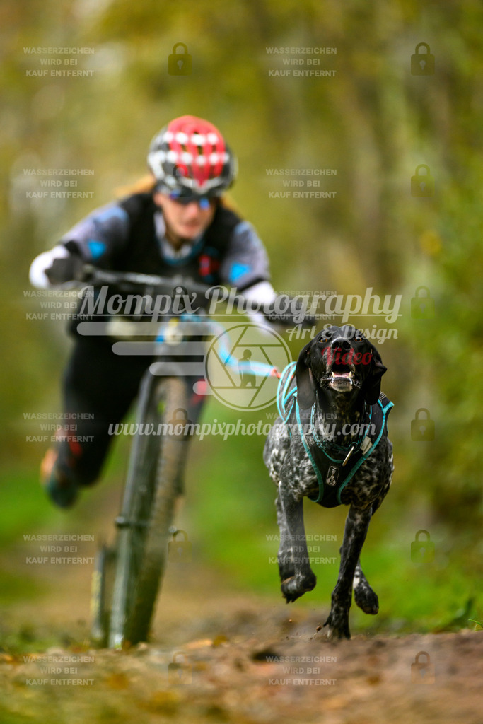 MompixPhotography_20TSB_E6_DS1-31 | PayLife