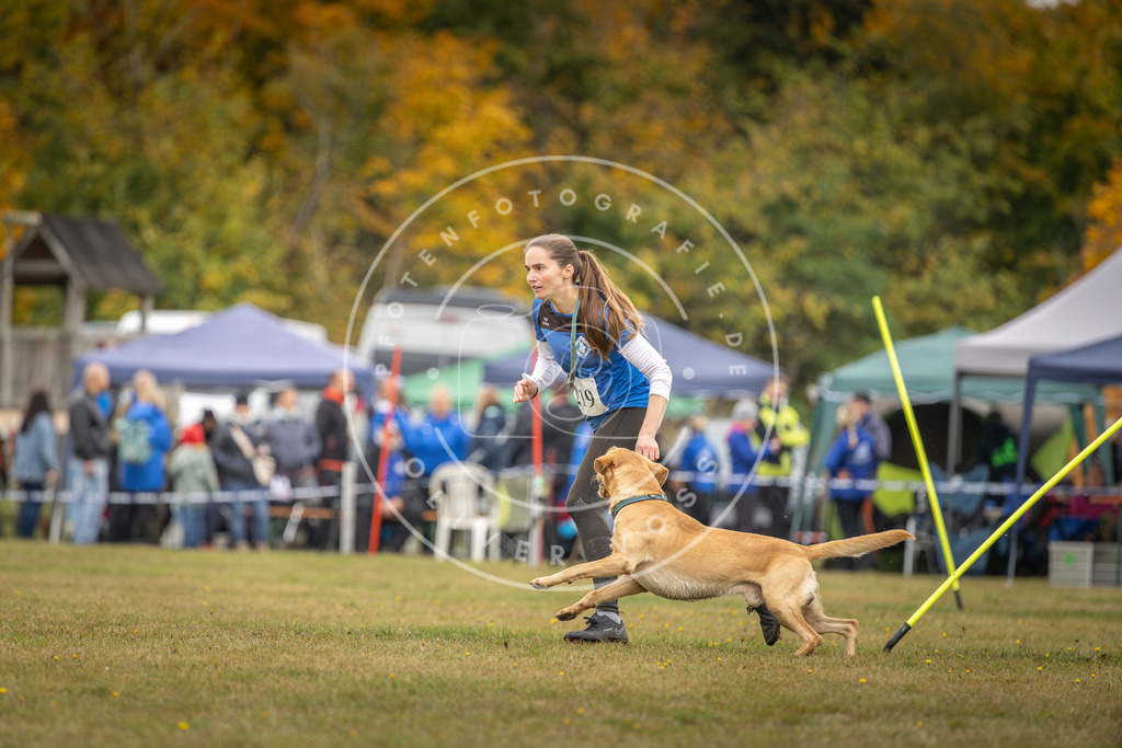 Pfotenfotografie_DV3A3663 | Hundefotografie, Tierfotograf, Pfotenfotografie, Fotoshooting Hund, Hunde Portrait, Hundesport, Hundeportraits, Heideshooting, Hunde, Sportfotograf, Hundefotograf, Turnierhundsport, THS,  - Realisiert mit Pictrs.com