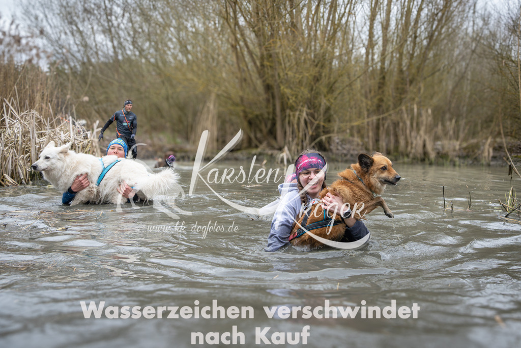 1054_ZZ93640 | kk-dogfotos