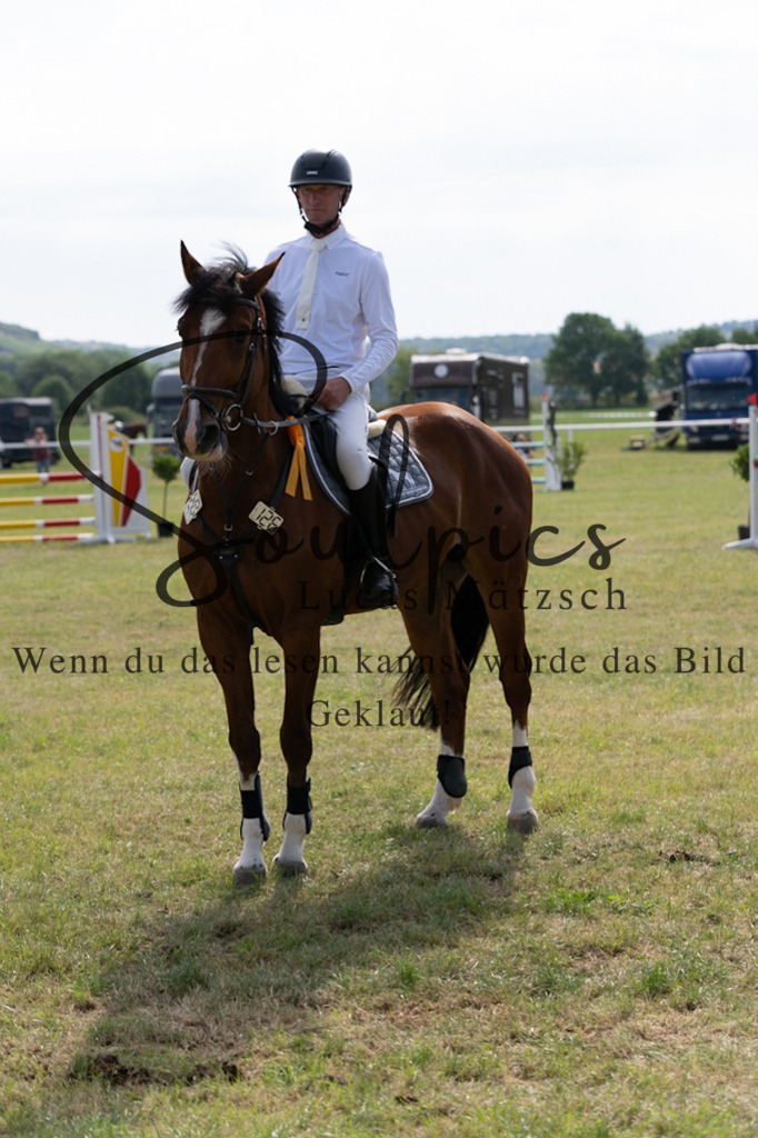 A7V01496 | Pferdefotograf