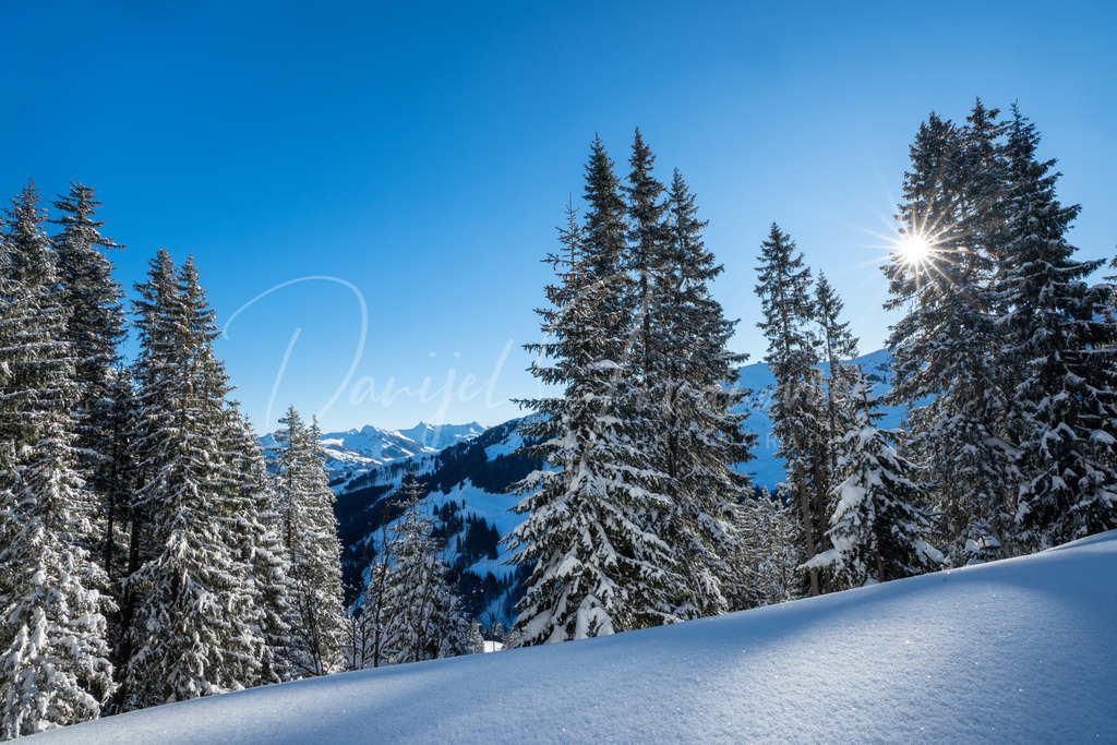 DSC05446 | Professioneller Fotograf - Bildbestellung online - Wandbilder vom Profi für ihr Zuhause, Büro, Praxis, Firma - große Auswahl an Materialien und Formaten, über 1400 regionale Motive