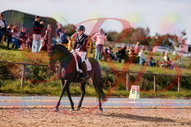 2026_10_03_Siefer-Hof_121629_Z81_19364077 | Professionelle Reitsport-, Turnier- und Eventfotografie von Robert Broda. Galerien mit ausgewählten und bearbeiteten Bildern direkt online ansehen und bestellen.