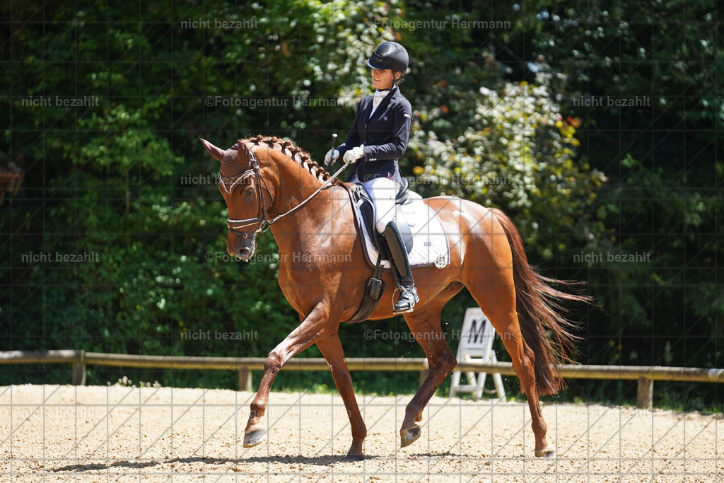 20240705-FAH04215 | Turnierbilder von Grafing, Reitsportbilder, Turnierfotos, Turnierfotografen Bayern, Pferdefotograf, Fotoagentur Herrmann