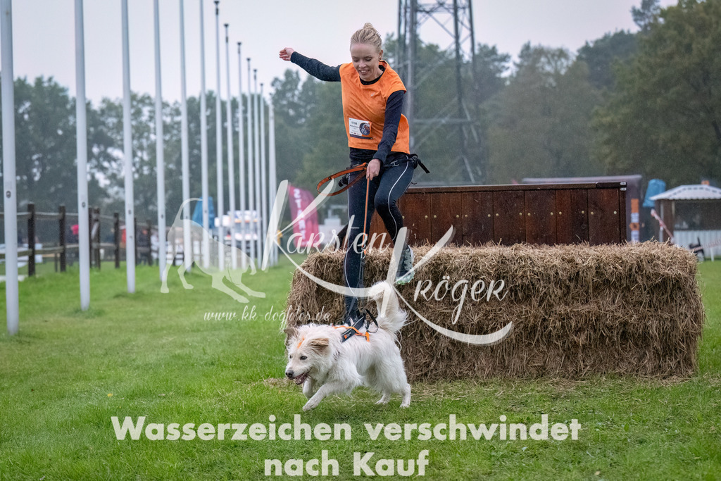 0907-_ZZ93220-Bearbeitet | kk-dogfotos