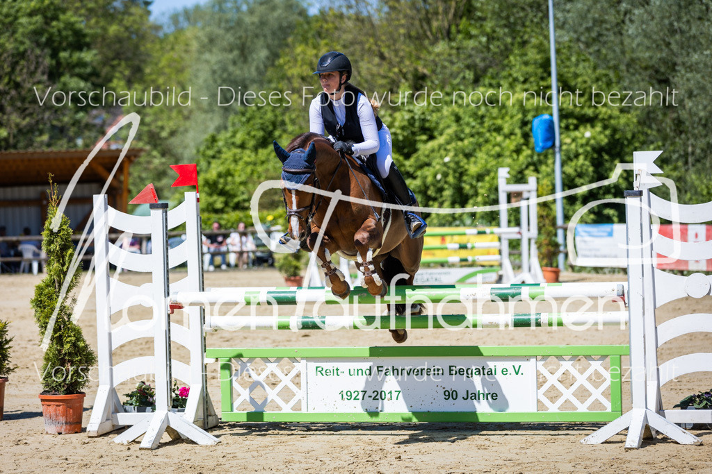 Donop24-Stil-L-067 | MomenTaufnahmen Pferdesportfotos