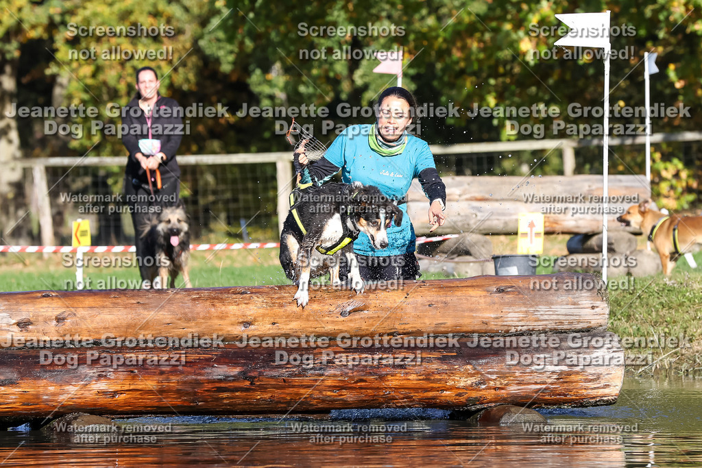 Dog Paparazzi - Strongdog 10-25-8732 | Dog Paparazzi Jeanette Grottendiek Fotografie & Videografie - Realisiert mit Pictrs.com