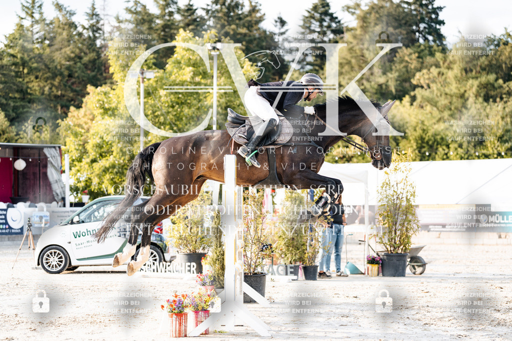 CK903464 | Turnierfotografie Pferdefotografie Trier Rheinland-Pfalz Pferdesport Reitsport Tierfotografie Sportfotografie Pferdevideo Pferdevideografie Equestrianvideography equestrianphotography  - Realisiert mit Pictrs.com