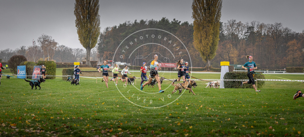 CaniXpix_DV3A8849 | Hundefotografie, Tierfotograf, Pfotenfotografie, Fotoshooting Hund, Hunde Portrait, Hundesport, Hundeportraits, Heideshooting, Hunde, Sportfotograf, Hundefotograf, Turnierhundsport, THS,  - Realisiert mit Pictrs.com