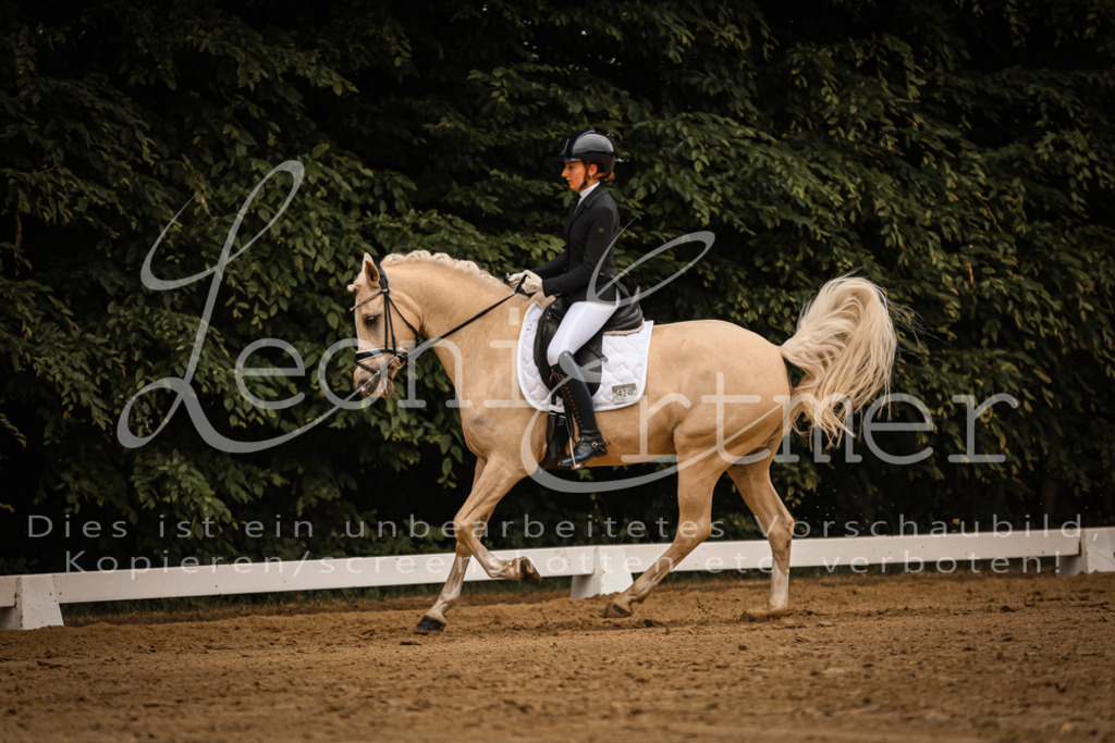 DoDrA00154 | Leoni Ertmer Photography - Realisiert mit Pictrs.com