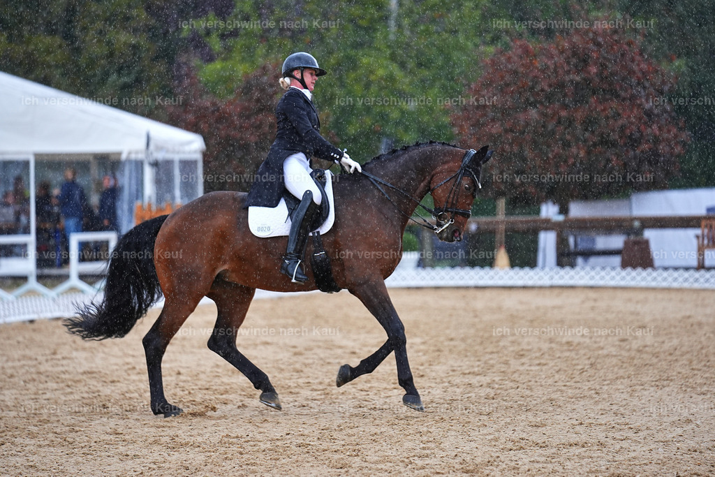 8_1-020-Klasse S_  -Marixx-4349 | working equitationturnier fotograf videograf stoibphotography marixx film working equitation deutschland reitsport turnierfotografie eventfotografie equestrian events