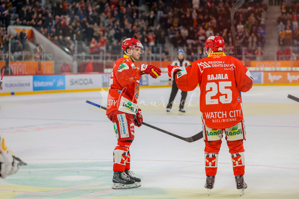 EHCB vs HCA 20260127_wb-9554 | Sportbilder, Sportfotograf, Hochzeits- und Eventfotografin, Flugshows, Portraits und Tiershooting, Aviation, Downhill, Nationalleague, Swissleague, International