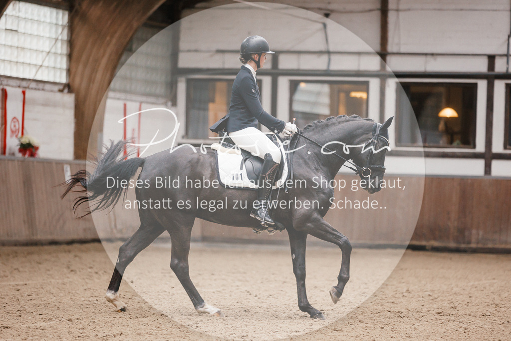 3I6A6168 | Stimmungsvolle Portraits und Reitsportfotografie im Ruhrgebiet und im Münsterland.

Pferdefotografie, Hundefotografie, Tierfotografie, Reportagen, Portraits von Tier und Mensch, Turnierfotografie in Bochum, Recklinghausen, Marl, Haltern am See, Dülmen.. - Realisiert mit Pictrs.com