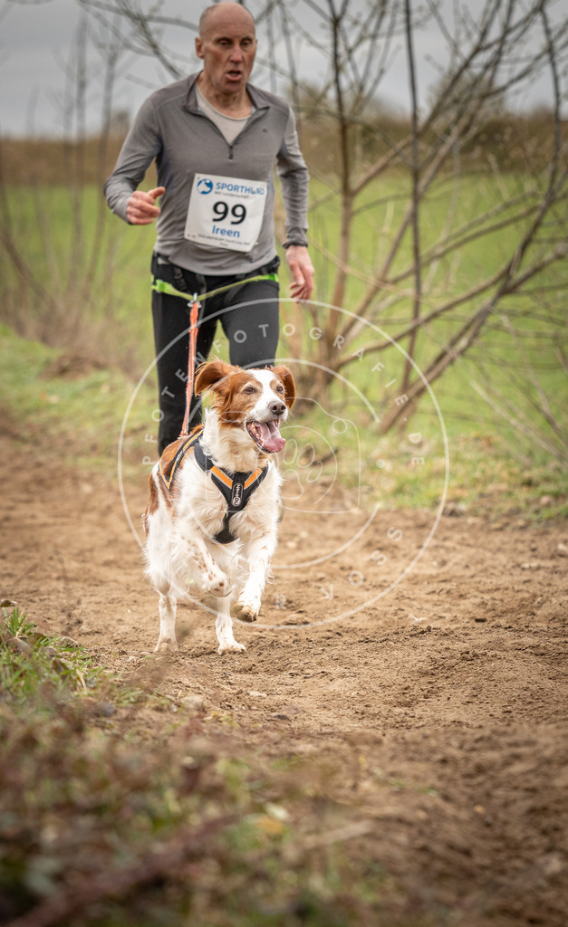 DV3A2534 | Hundefotografie, Tierfotograf, Pfotenfotografie, Fotoshooting Hund, Hunde Portrait, Hundesport, Hundeportraits, Heideshooting, Hunde, Sportfotograf, Hundefotograf, Turnierhundsport, THS,  - Realisiert mit Pictrs.com