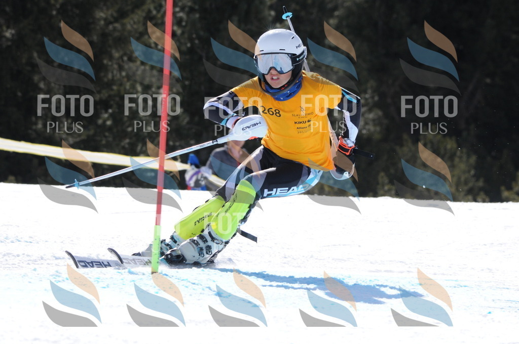 C8965 | holidayphoto