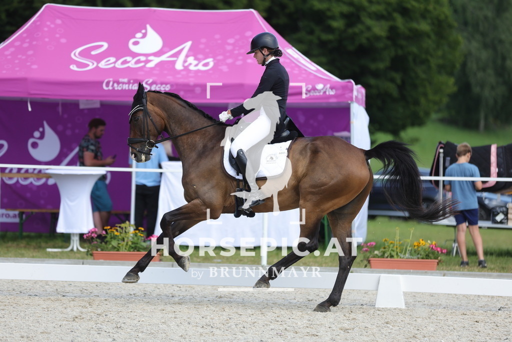 0P6A1662 | Willkommen bei Brunnmayr - Design & Fotografie – Ihrem Spezialisten für Reitturniere und Pferdeveranstaltungen in Oberösterreich, Salzburg und Bayern! Seit über 17 Jahren sind wir leidenschaftlich dabei.