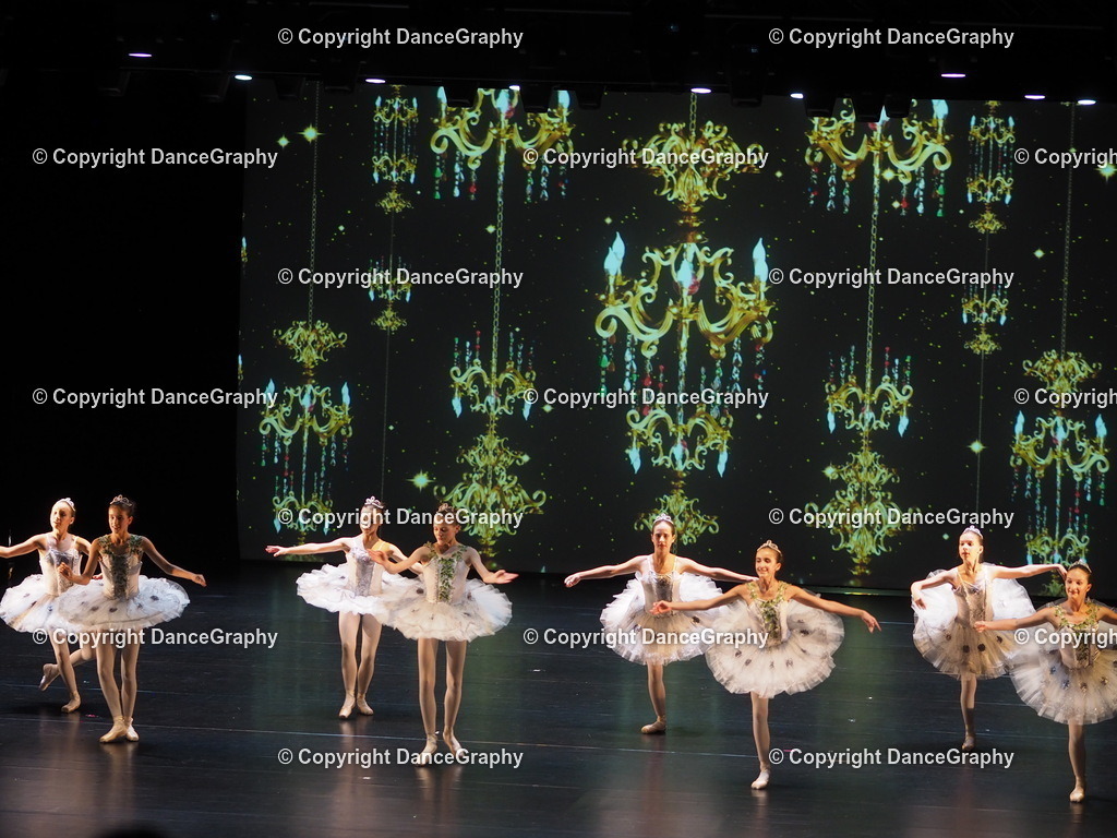 P7260441 | DanceGraphy - Realisiert mit Pictrs.com