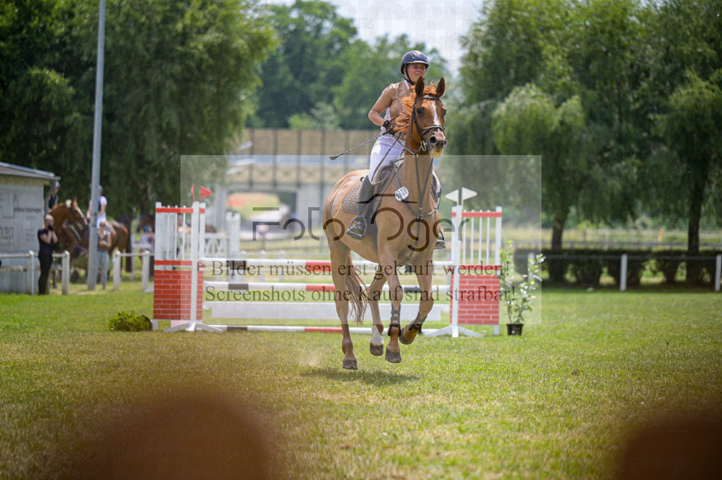 Reitturnier Voxtrup | Entdecke hochwertige Reitturnierfotos von Foto Oger. Professionell, emotional und authentisch – jetzt Lieblingsmomente im Shop bestellen.Deutschlandweite Turnierfotografie. - Realisiert mit Pictrs.com