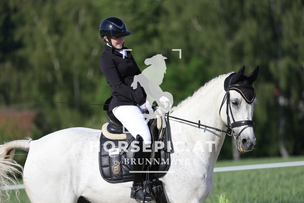 0P6A0963 | Willkommen bei Brunnmayr - Design & Fotografie – Ihrem Spezialisten für Reitturniere und Pferdeveranstaltungen in Oberösterreich, Salzburg und Bayern! Seit über 17 Jahren sind wir leidenschaftlich dabei.