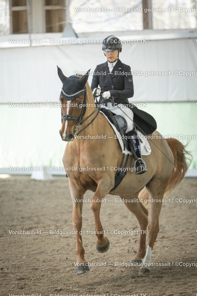 _D5A1363 | Emotionale Pferde- & People-Fotografie rund um Heidelberg, Leimen & Umgebung. Natürliche Fotos von Pferd, Mensch & Familie. Jetzt Termin sichern!