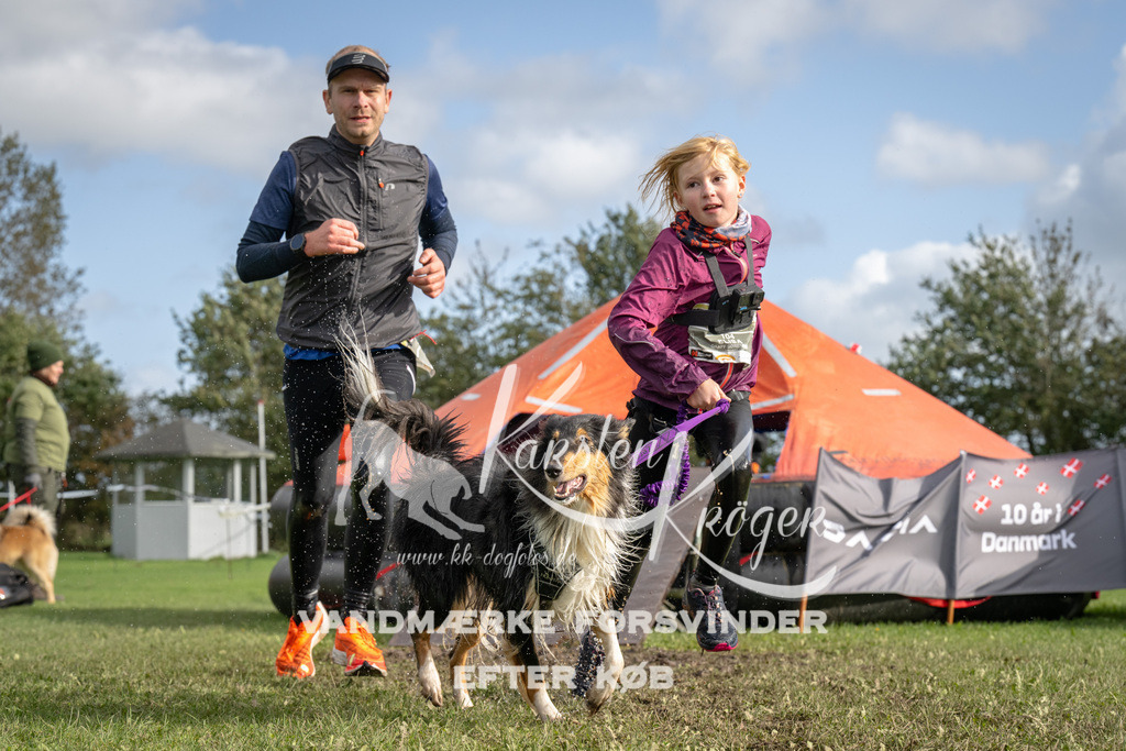 1418-93917 | kk-dogfotos