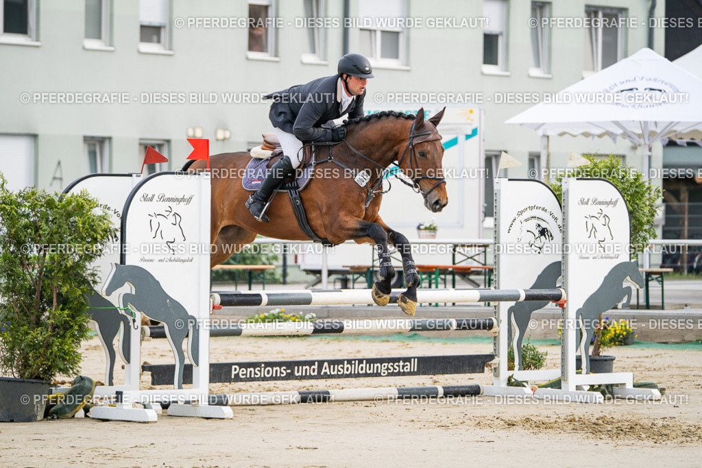 DSC08716 | Pferdegrafie