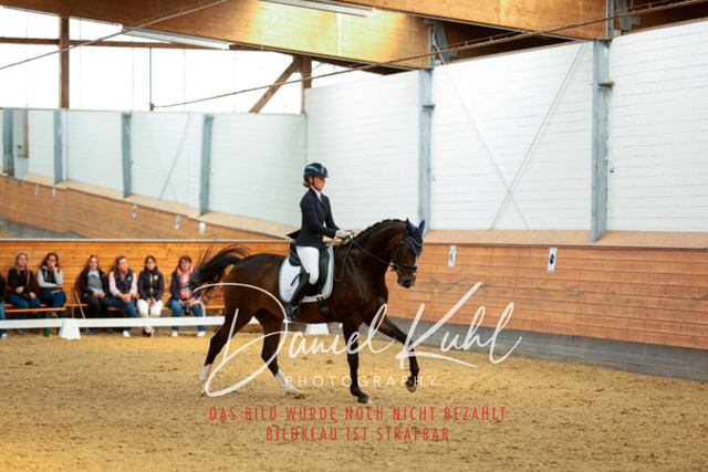 _62_4971 | Turniersportfotografie; Pferdefotografie; Dressurfotografie