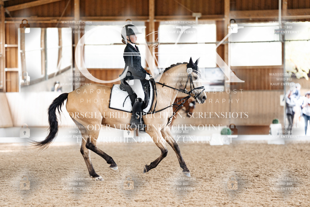 CK900079 | Turnierfotografie Pferdefotografie Trier Rheinland-Pfalz Pferdesport Reitsport Tierfotografie Sportfotografie Pferdevideo Pferdevideografie Equestrianvideography equestrianphotography  - Realisiert mit Pictrs.com