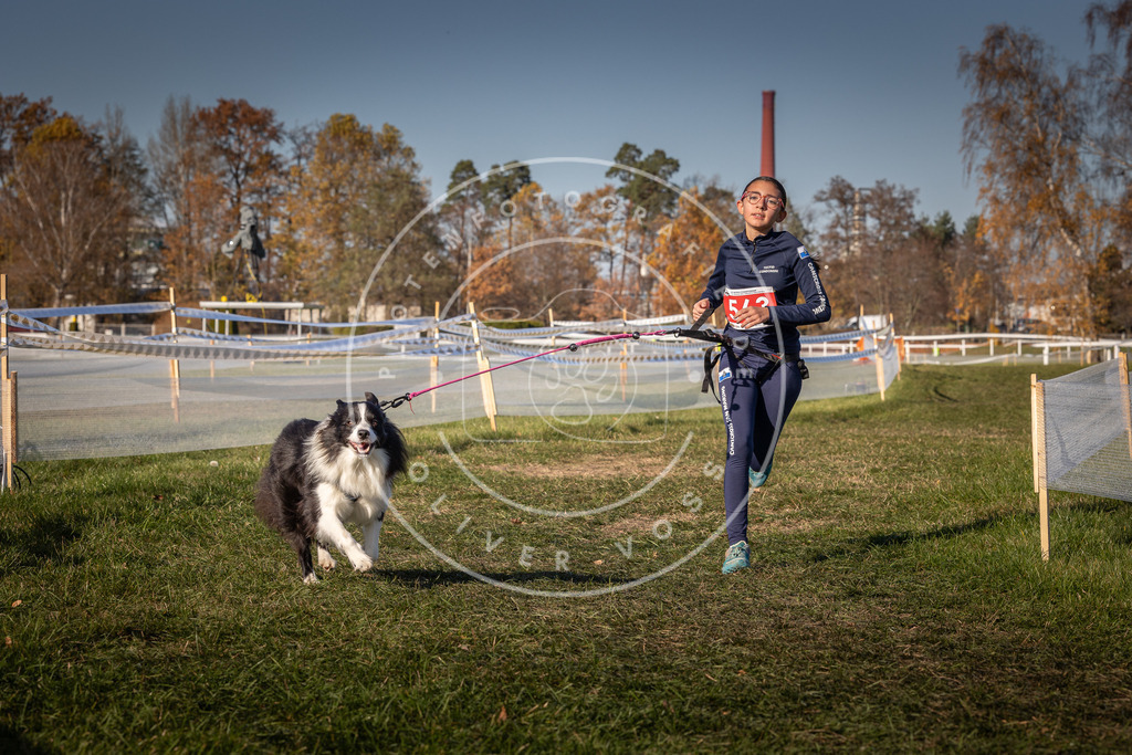 CaniXpix_0L8A7949 | Hundefotografie, Tierfotograf, Pfotenfotografie, Fotoshooting Hund, Hunde Portrait, Hundesport, Hundeportraits, Heideshooting, Hunde, Sportfotograf, Hundefotograf, Turnierhundsport, THS,  - Realisiert mit Pictrs.com