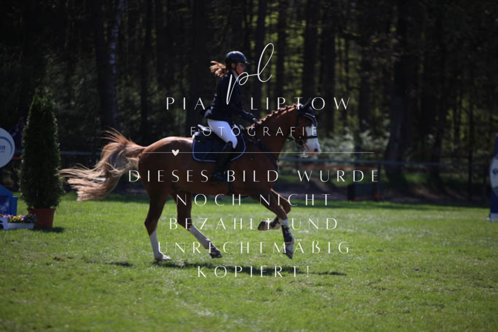 IMGT5614 | pl-fotografie