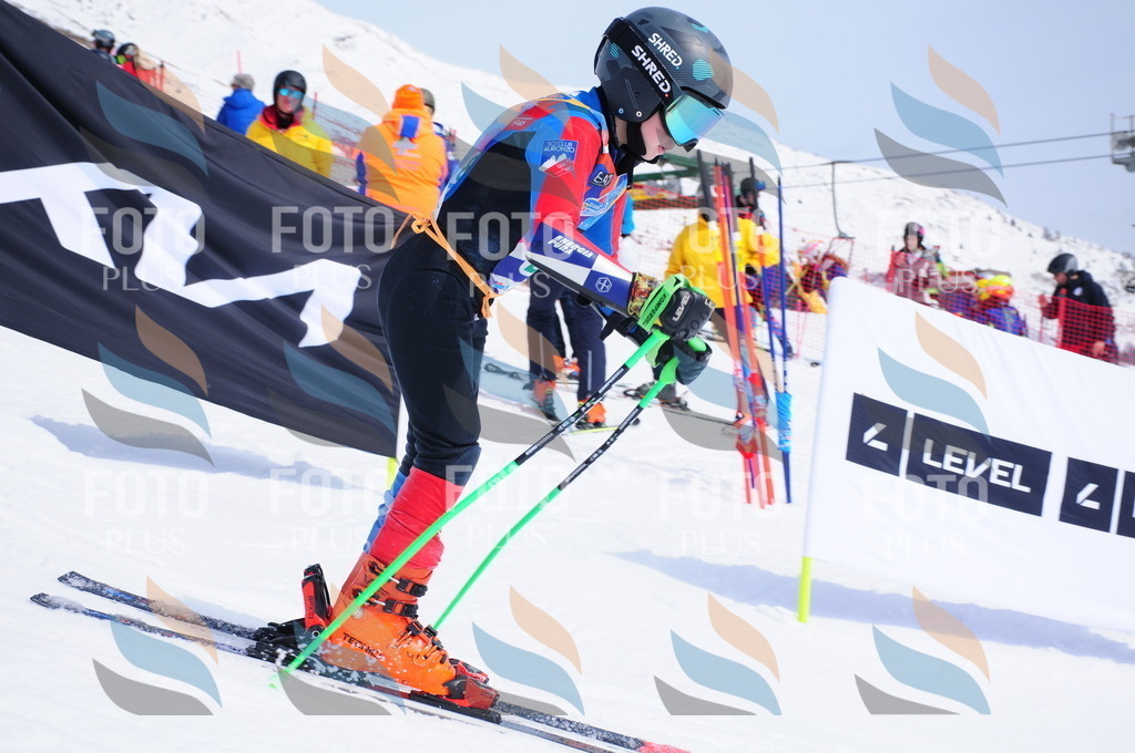 DSC_2451 | holidayphoto