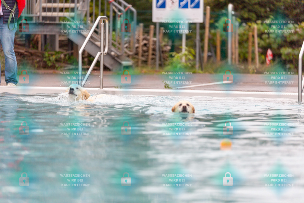 _HP_7116_1000o | HetPix, HetPix Fotodesign, Fotografie, Fotodesign, Webshop, Sportfotografie, Portraitfotografie, Onlineshop, Sportfotografie, Polch, Motorsportfotografie, Eventfotografie