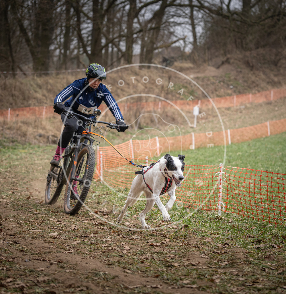 Pfotenfotografie_DV3A5169 | Hundefotografie, Tierfotograf, Pfotenfotografie, Fotoshooting Hund, Hunde Portrait, Hundesport, Hundeportraits, Heideshooting, Hunde, Sportfotograf, Hundefotograf, Turnierhundsport, THS,  - Realisiert mit Pictrs.com