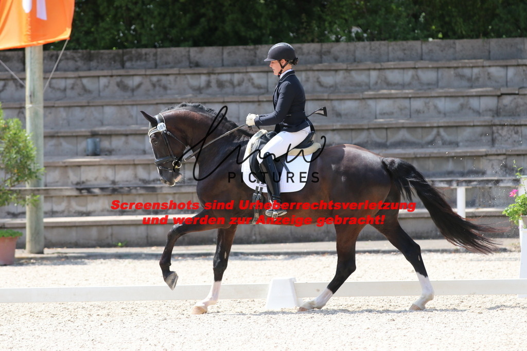 IMG_4704 | lmwpictures - Realisiert mit Pictrs.com