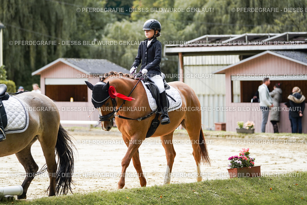 DSC05824 | Pferdegrafie