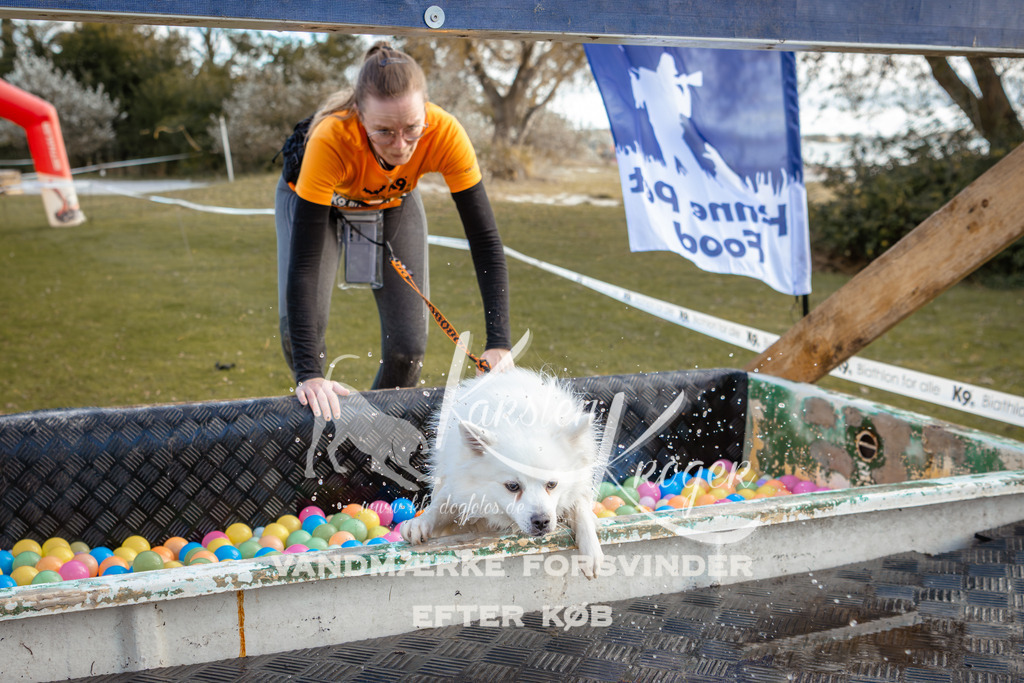 1507_ZZ95917 | kk-dogfotos