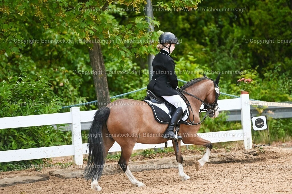20230716_10-2_Reiter-WB Schritt - Trab - Galopp_0135 | equistock