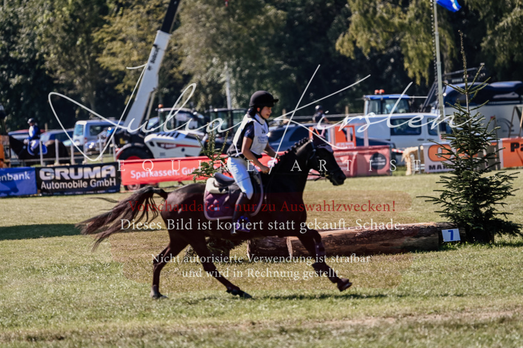 DSC_1935 | Pferde- und Turnierfotografie in Westsachsen. Pferdeportraits, Auftragszeichnungen und intuitive Kunst.