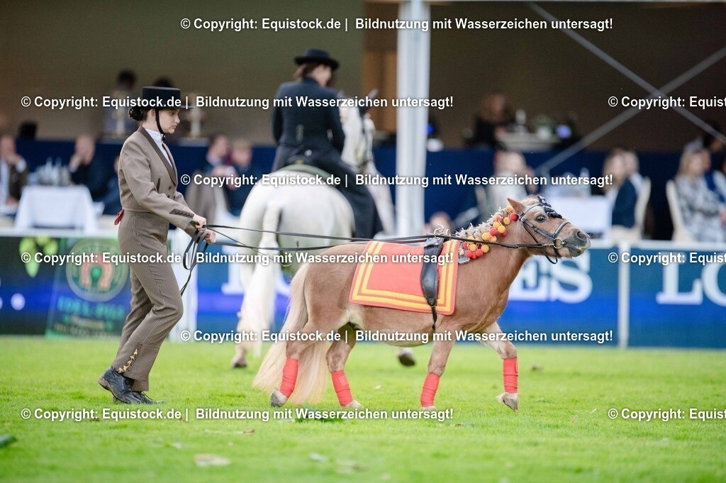 20250606_Lange-Pferdenacht_0609 | Foto: Thomas Hartig