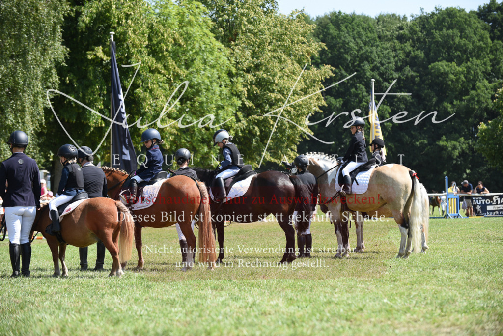 DSC_9872 | Pferde- und Turnierfotografie in Westsachsen. Pferdeportraits, Auftragszeichnungen und intuitive Kunst.