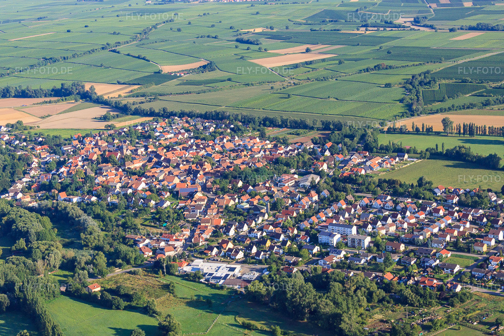 Luftbild: Ortsansicht von Süden im Ortsteil Billigheim in Billigheim-Ingenheim im Bundesland Rheinland-Pfalz in Deutschland. Foto: IMG_30908.jpg vom 07.08.2010 durch Werner Riehm/FLY-FOTO.de
