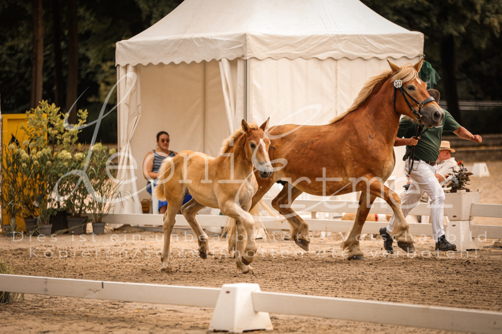 SaSF00099 | Leoni Ertmer Photography - Realisiert mit Pictrs.com