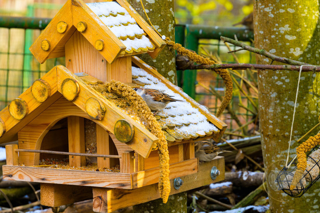 _DSC1766 | Shop für Prints Landschaftsfotografie Sächsische Schweiz Naturfotografie in Thüringen Fotos vom Findlingspark Nochten Kloster Sankt Marienstern Bilder Festung Königstein PanoramaRhododendronpark Kromlau FotogalerSchleswig-Holstein Küstenlandschaften