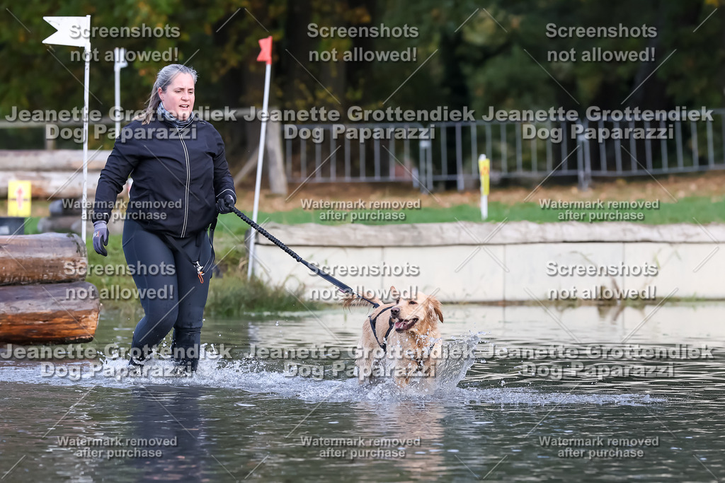 Dog Paparazzi - Strongdog 10-25-6958 | Dog Paparazzi Jeanette Grottendiek Fotografie & Videografie - Realisiert mit Pictrs.com