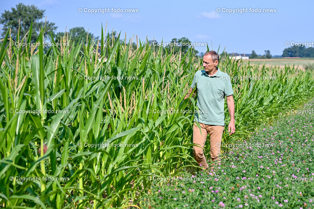 Morgentau Biogemuese GmbH_ Hofkirchen_ 25.07.2024-11 | 25.07.2024, Hofkirchen, AUT, Morgentau Biogemuese GmbH, im Bild Christian Stadler (Morgentau Biogemuese)
