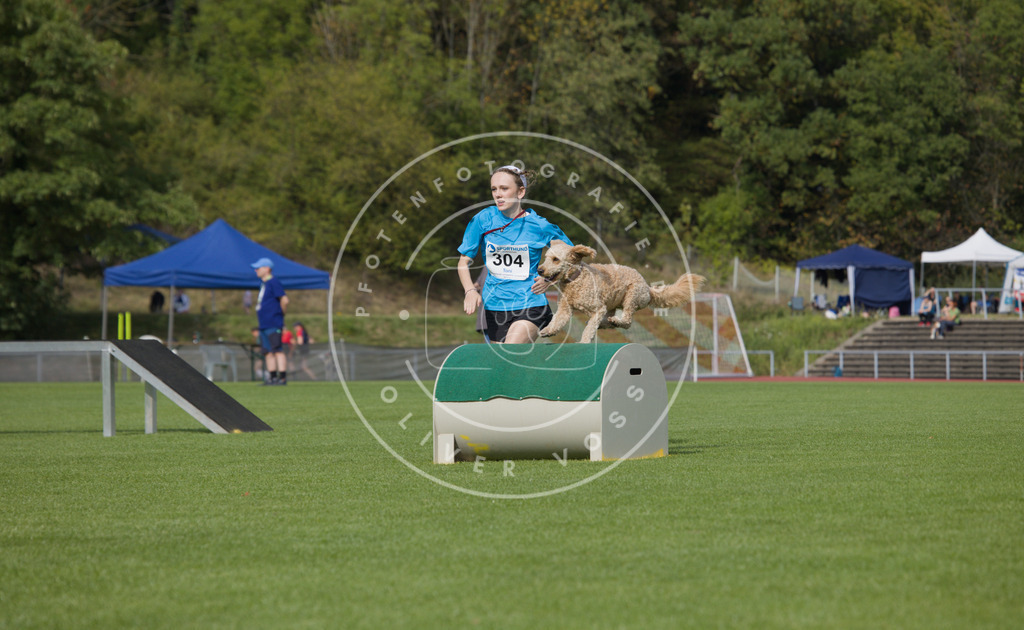 0L8A3547 | Hundefotografie, Tierfotograf, Pfotenfotografie, Fotoshooting Hund, Hunde Portrait, Hundesport, Hundeportraits, Heideshooting, Hunde, Sportfotograf, Hundefotograf, Turnierhundsport, THS,  - Realisiert mit Pictrs.com