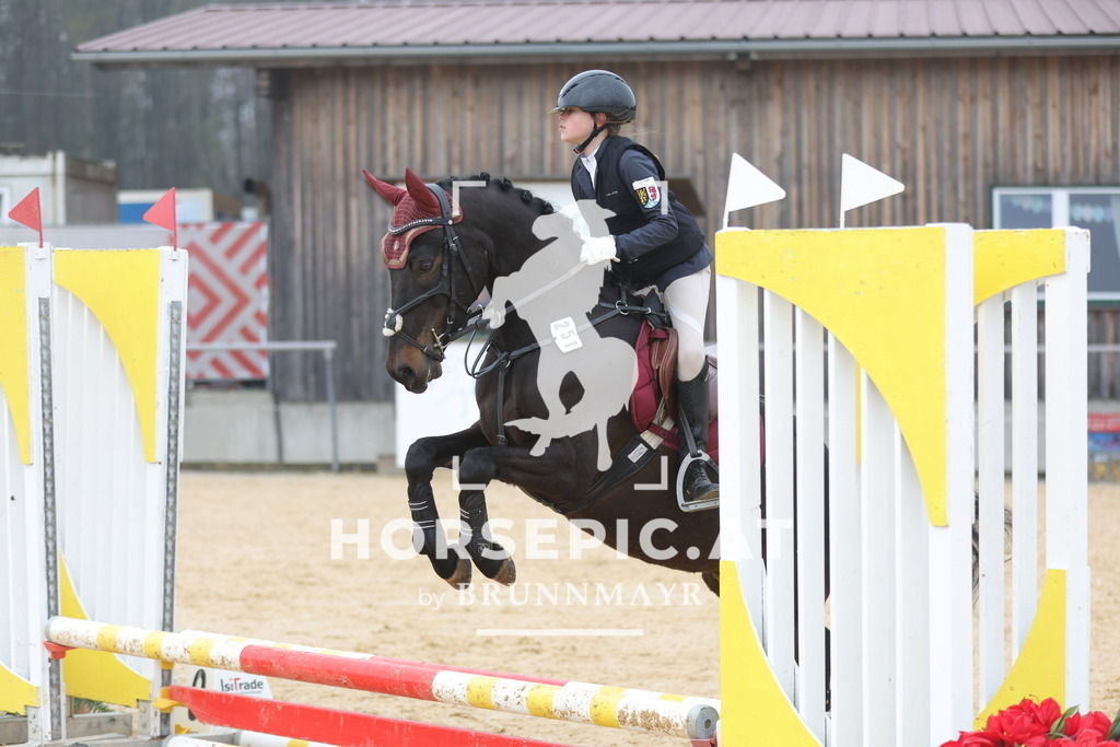 0P6A8619 | Willkommen bei Brunnmayr - Design & Fotografie – Ihrem Spezialisten für Reitturniere und Pferdeveranstaltungen in Oberösterreich, Salzburg und Bayern! Seit über 17 Jahren sind wir leidenschaftlich dabei.
