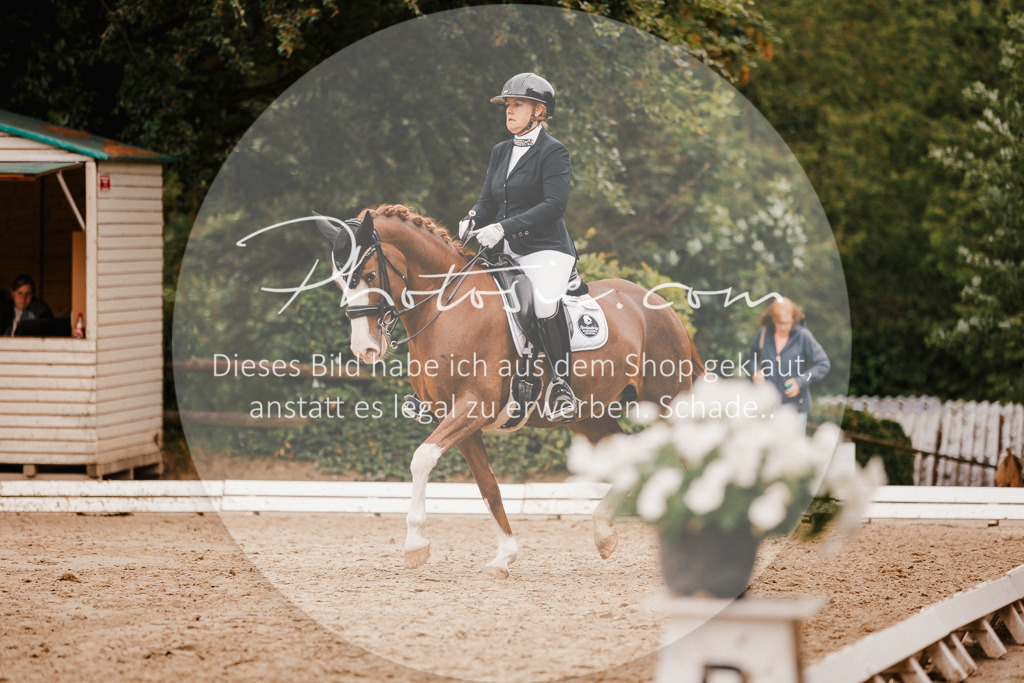 3I6A7798 | Stimmungsvolle Portraits und Reitsportfotografie im Ruhrgebiet und im Münsterland.

Pferdefotografie, Hundefotografie, Tierfotografie, Reportagen, Portraits von Tier und Mensch, Turnierfotografie in Bochum, Recklinghausen, Marl, Haltern am See, Dülmen.. - Realisiert mit Pictrs.com