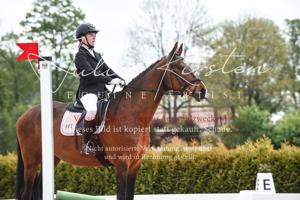 20230518_JK-Röhrsdorf-10-162 | Pferde- und Turnierfotografie in Westsachsen. Pferdeportraits, Auftragszeichnungen und intuitive Kunst.