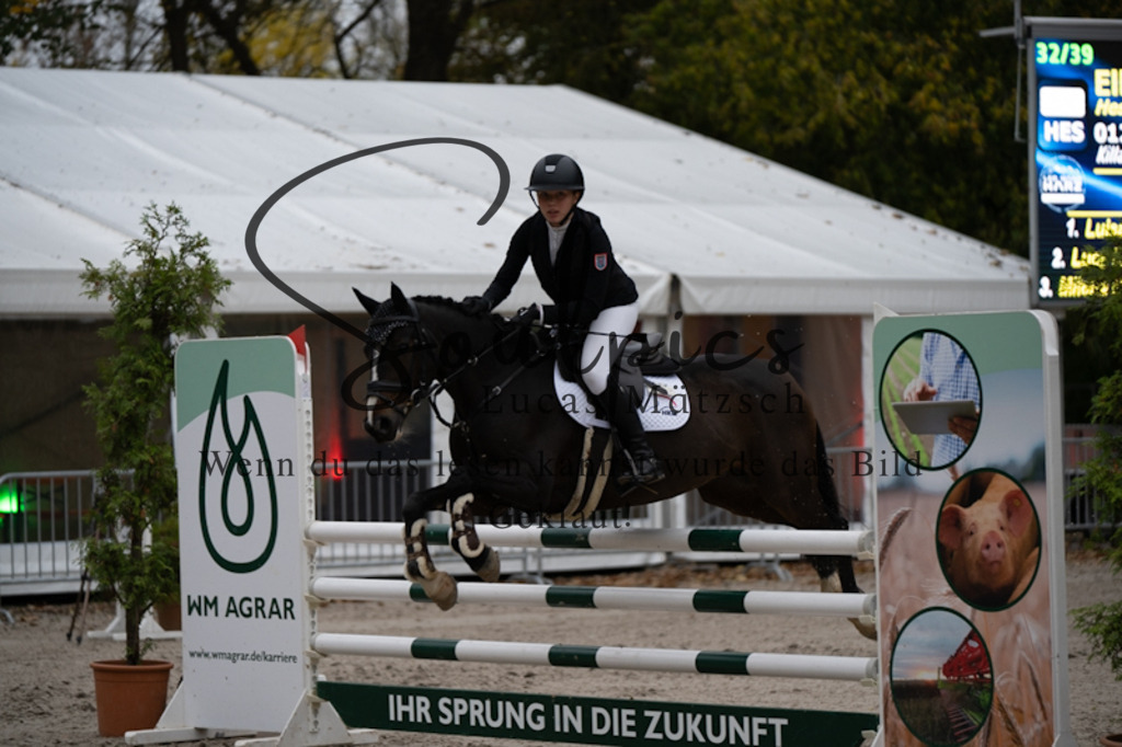 A7V00097 | Turnier/Reitfotograf