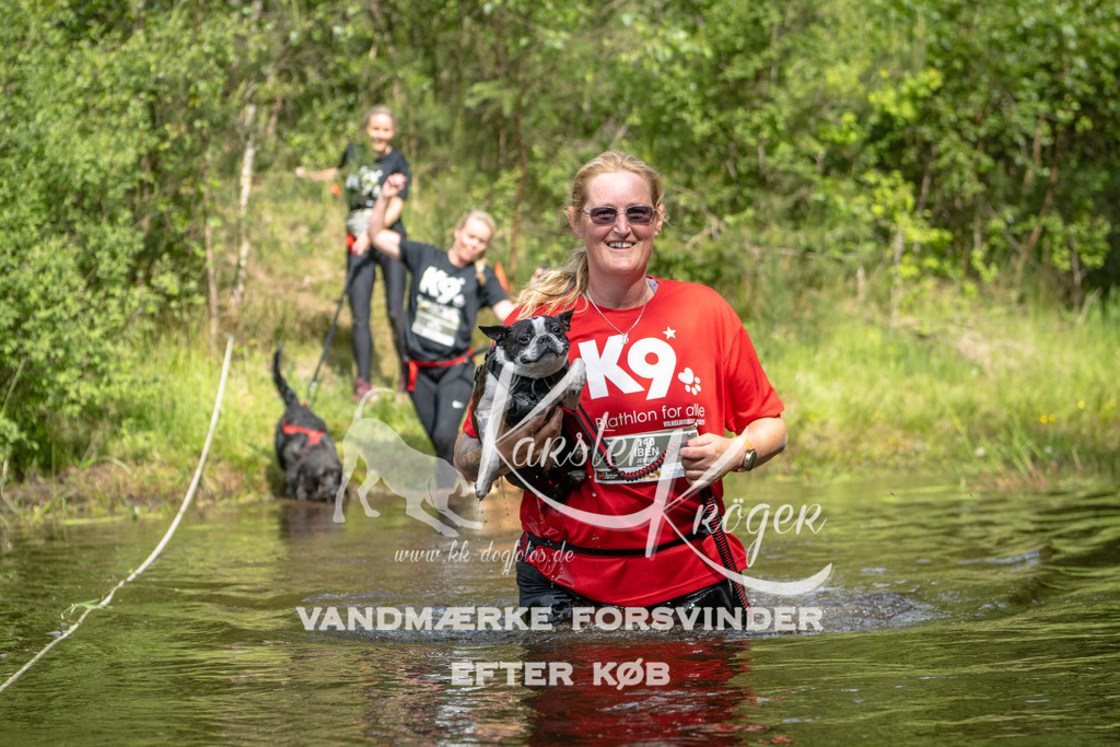 1017DKK991029 | kk-dogfotos